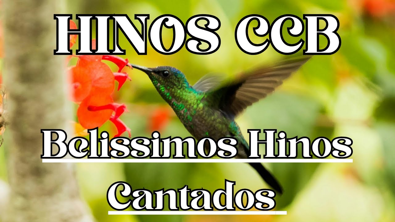 LINDÍSSIMOS HINOS CCB. LINDOS HINOS 278,401,17,204,02,332,312,42,15,63,69,117,365,412,58...