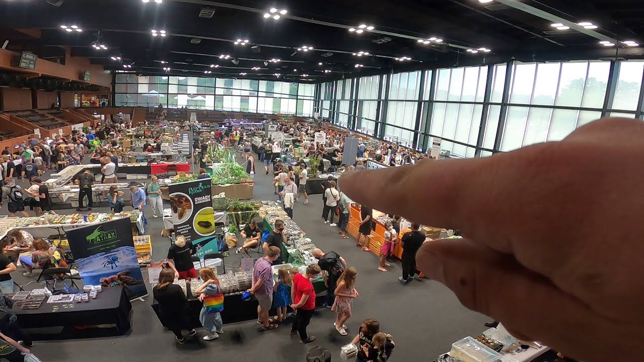Odwiedziłem wszystkich Wystawców 👀 Relacja z Krakowska Giełda Terrarystyczna Animals 26.06.21 #1