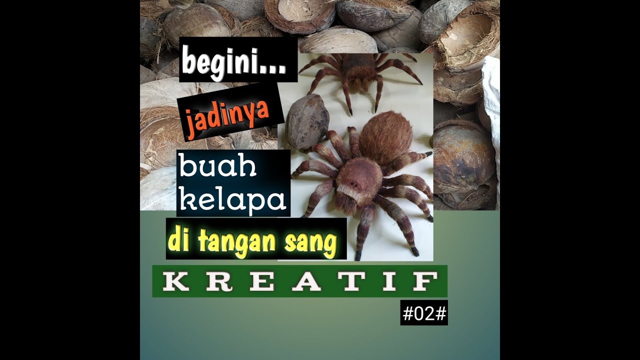 Kerajinan buah kelapa terbaru 2019 menjadi laba laba tarantula