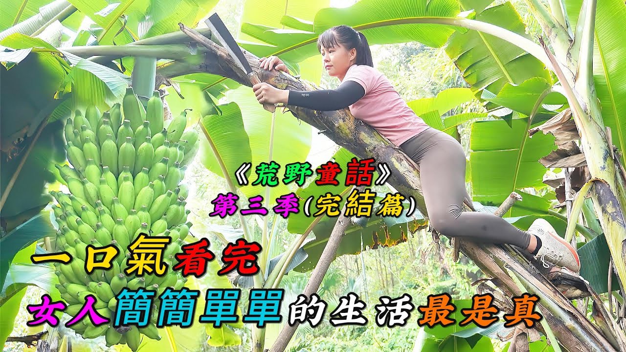 一口氣看完《荒野童話》第三季（完結篇），女人簡簡單單的生活最是真