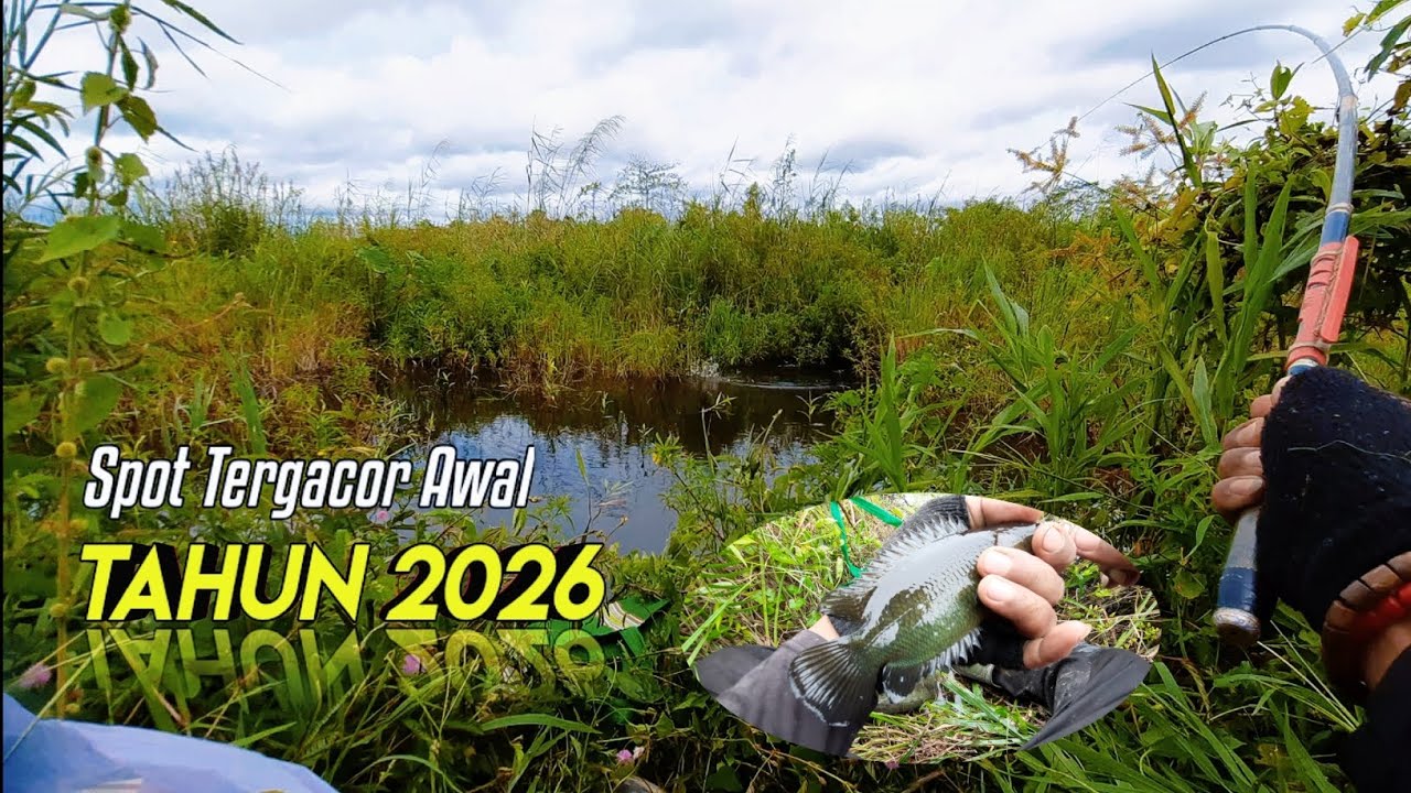 Spot tergacor tidak terjamah pemancing || MANCING IKAN BETOK/PAPUYU DI DAERAH KALIMANTAN