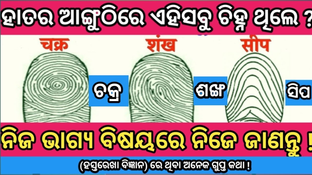 ଆଙ୍ଗୁଠି ରେ ଶଙ୍ଖ,ଚକ୍ର ଏଵଂ ସିପ ର ଚିହ୍ନ ଥିଲେ କଣ ଏହାର ମହତ୍ତ୍ଵ ! (ହସ୍ତରେଖା ବିଜ୍ଞାନ) || କାହାର ଚରିତ୍ର କିପରି