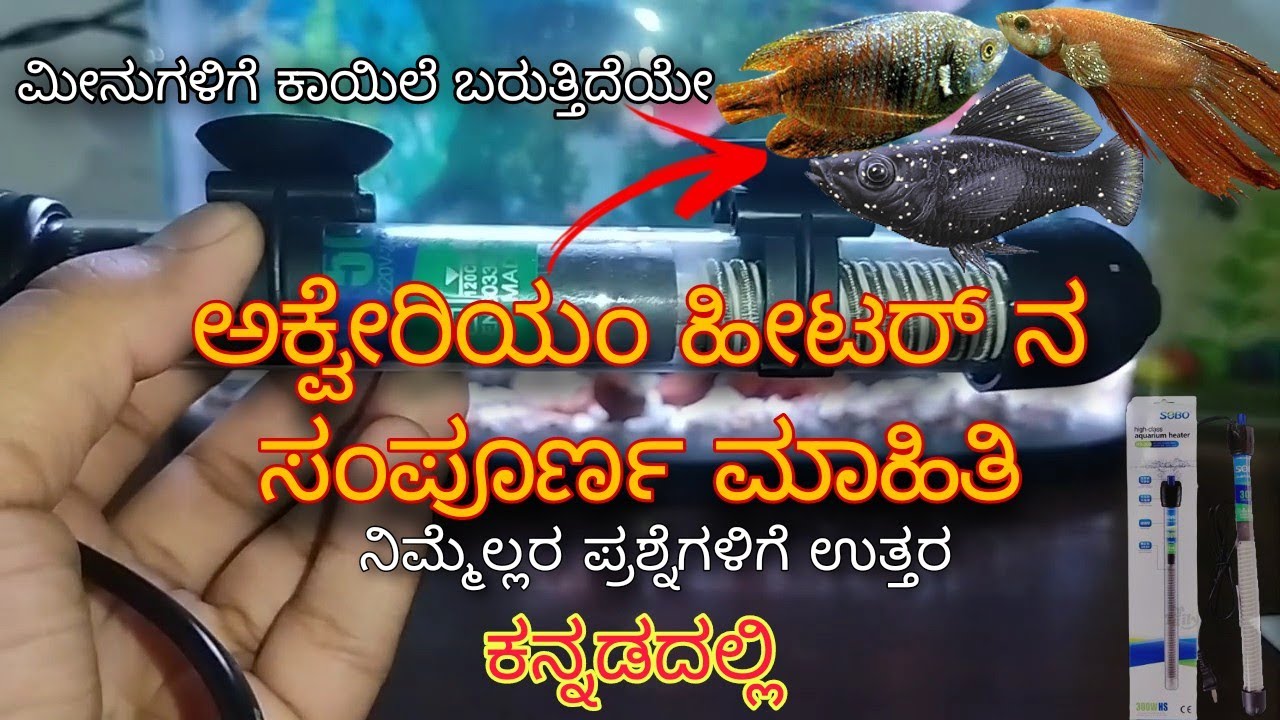 Aquarium heater complete information in Kannada  ಅಕ್ವೇರಿಯಂ ಹೀಟರ್ ನ ಸಂಪೂರ್ಣ ಮಾಹಿತಿ | Mathsya jagattu