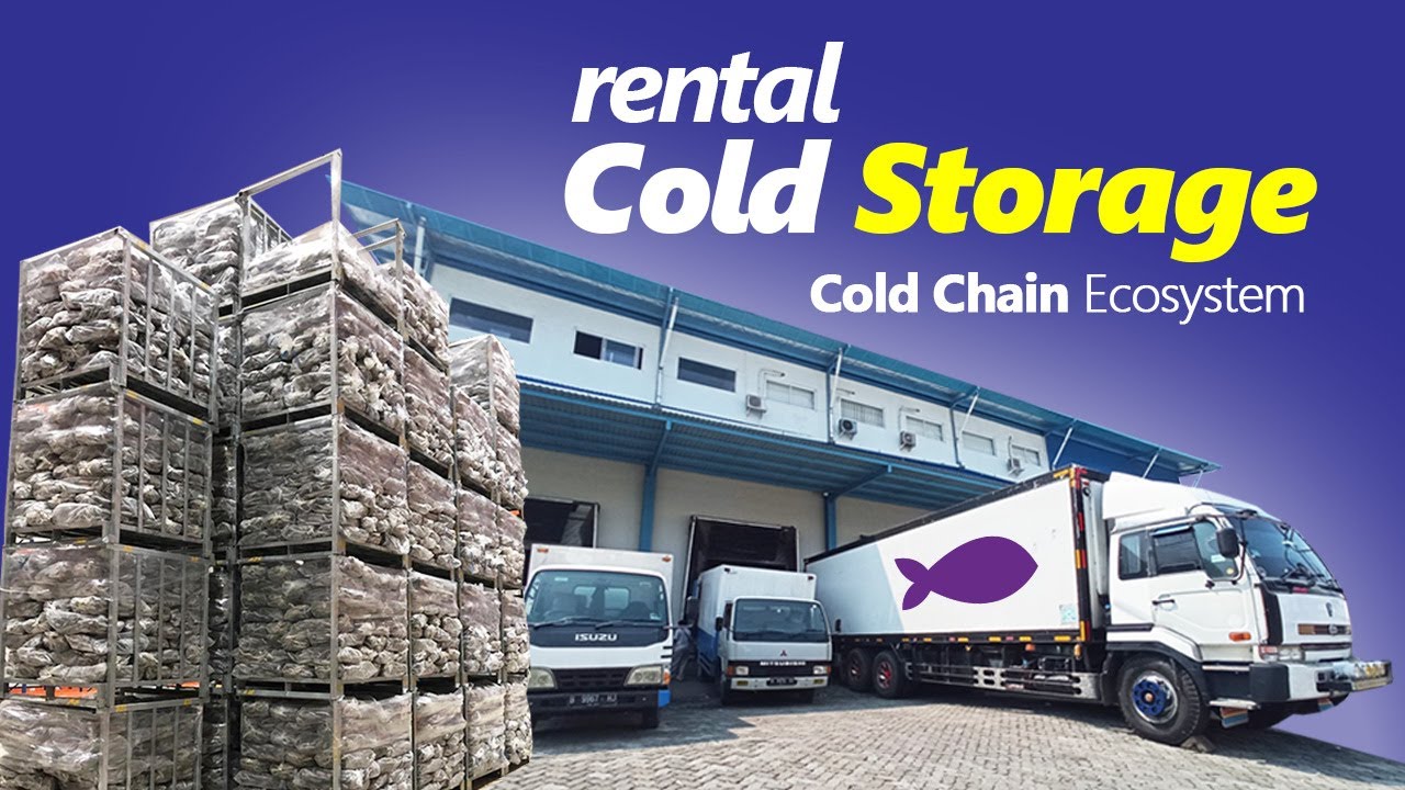 Cold Storage Frozen Food Cold Chain - Warehouse #coldstorage #coldchain #supplychain  ~ hasil laut