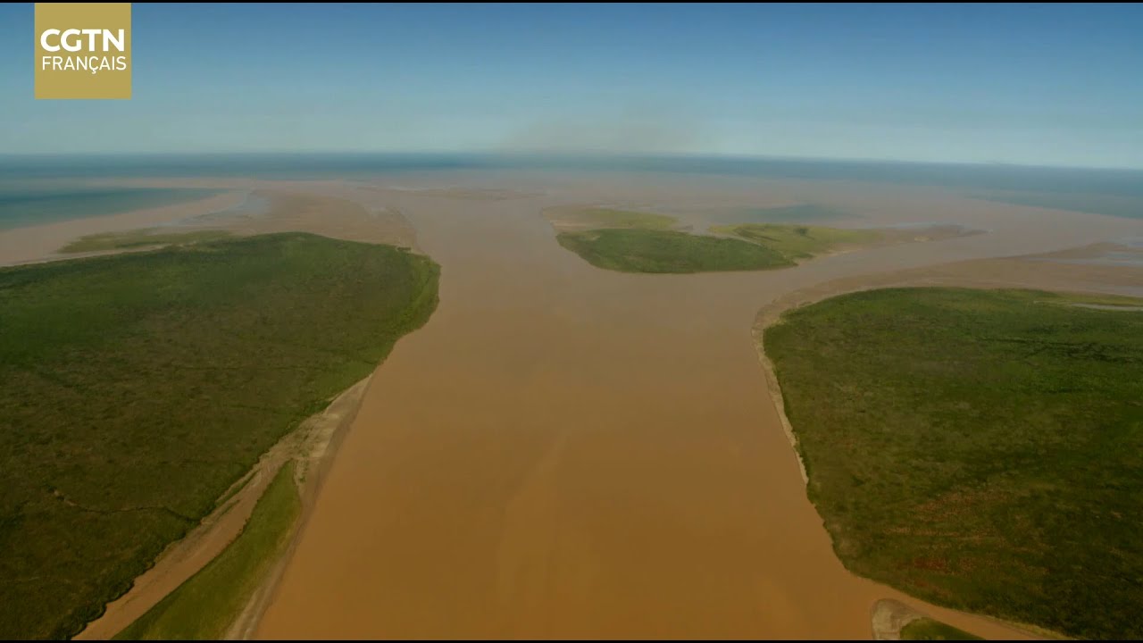 Xi Jinping inspecte l'estuaire du fleuve Jaune