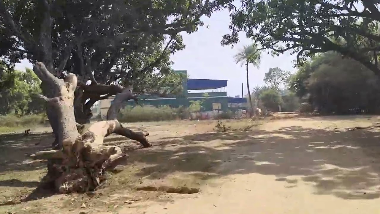 हमारे इधर जंगल और पहाड़ों का इलाका काफ़ी ख़ूबसूरत#viral #funny #minivlog #comedy 