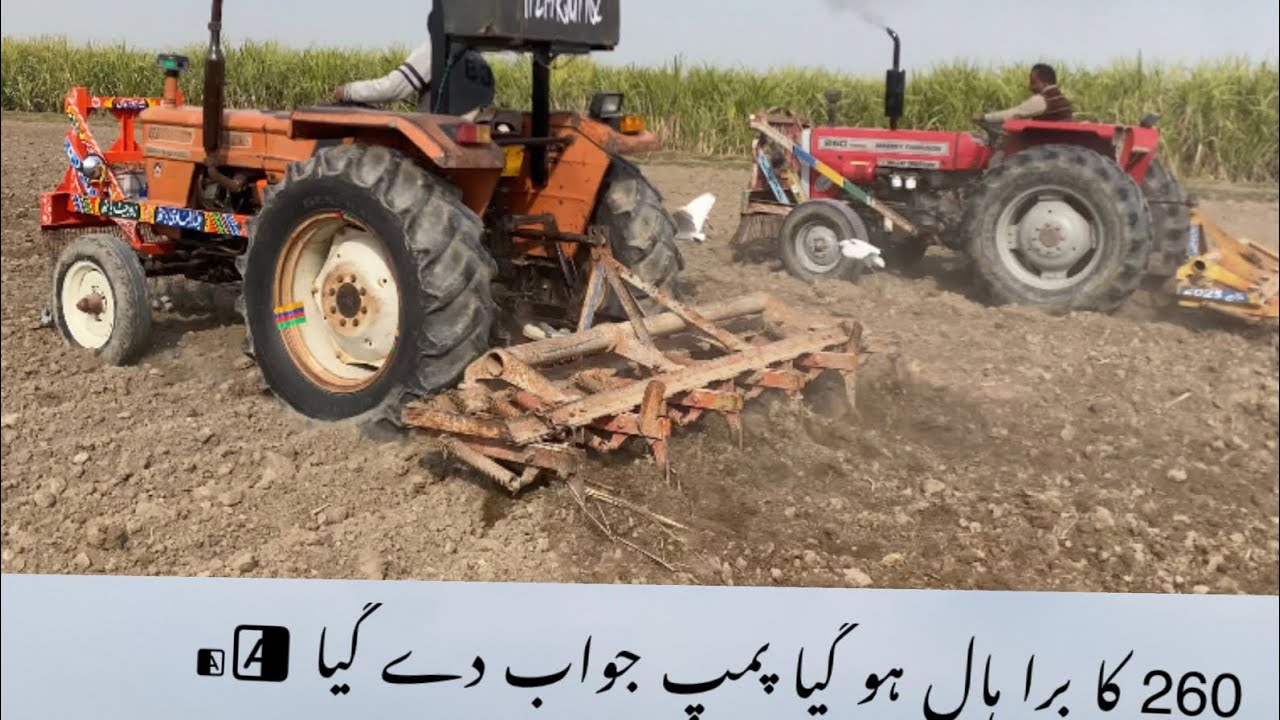 نیوہالینڈ الغازی اور ملت260 کا زبردست مقابلہ اینڈ پر دونوں کو کام پڑ گیا 😱