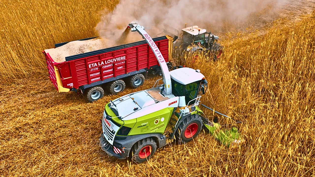 😎 ENSILAGE de MISCANTHUS 2025 à l'ETA La Louvière 🤠💨