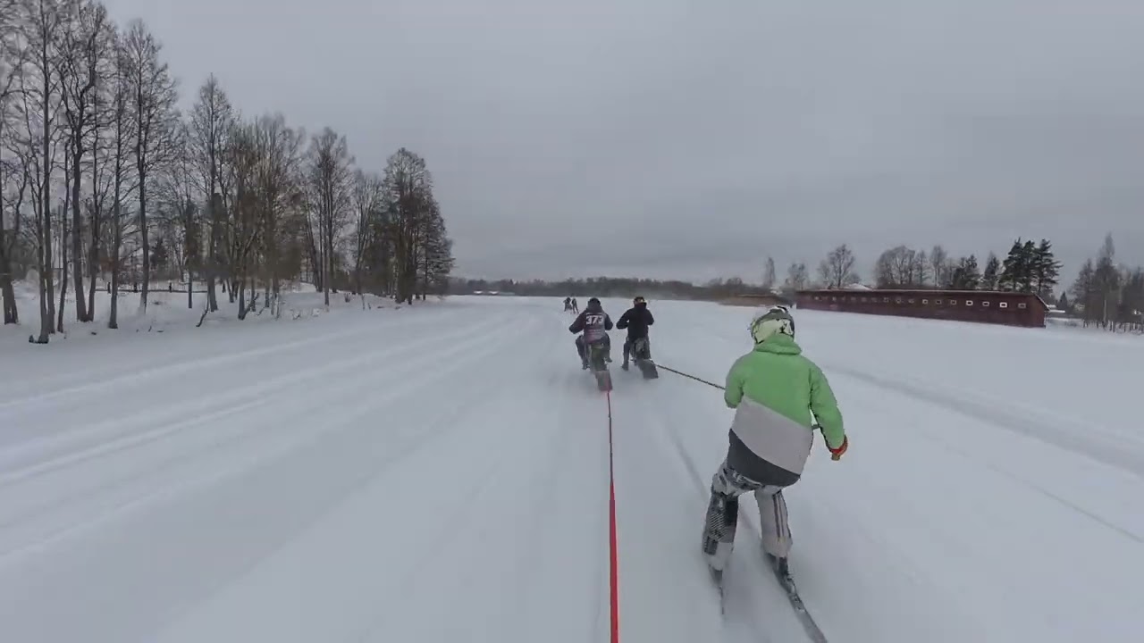 4. posms Alūksne 1. brauciens #373 skijorings 2026
