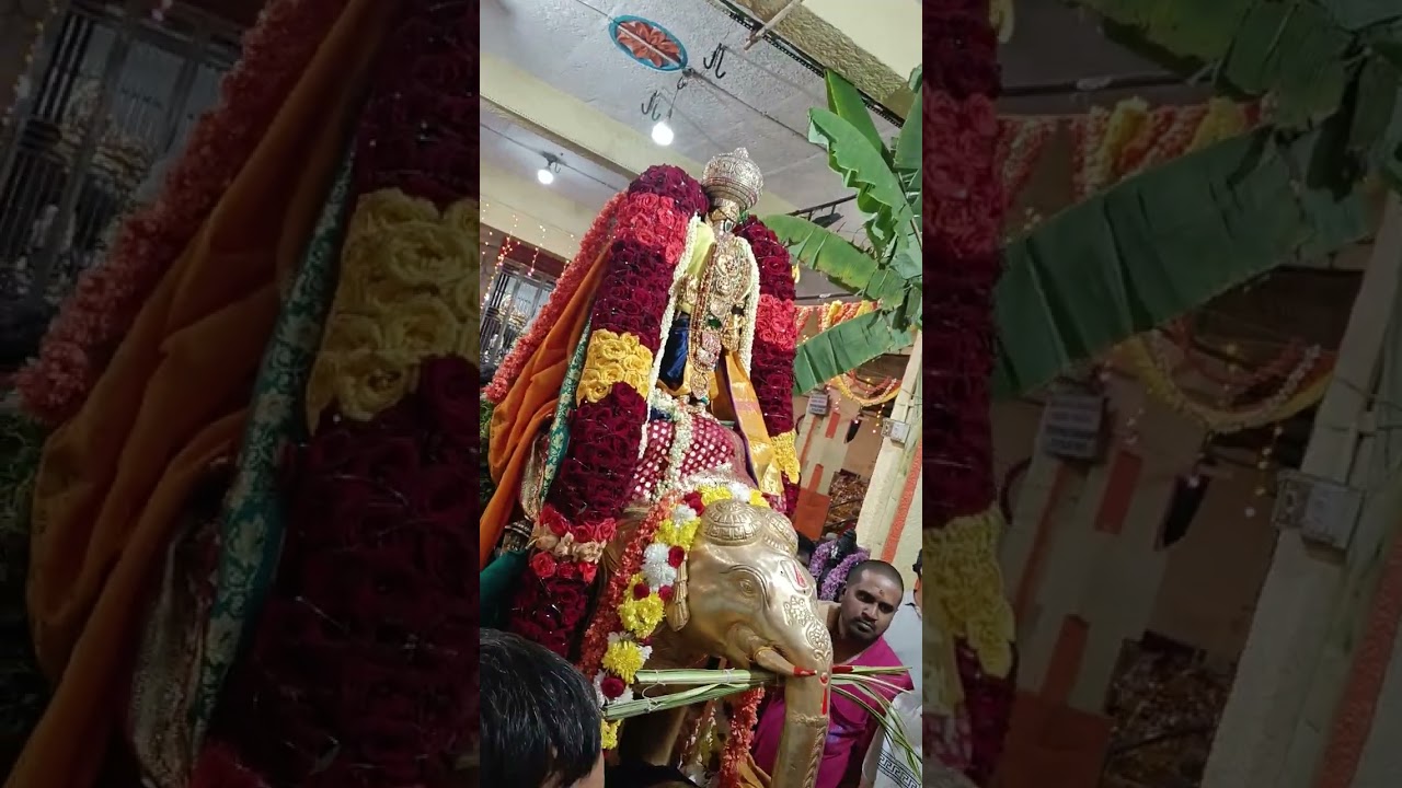 Brahmotsavam Day 5 - Gajavahanam-Gajanadai-Harati-Shatrumurai at Venugopala Swamy Temple-22/02/2026