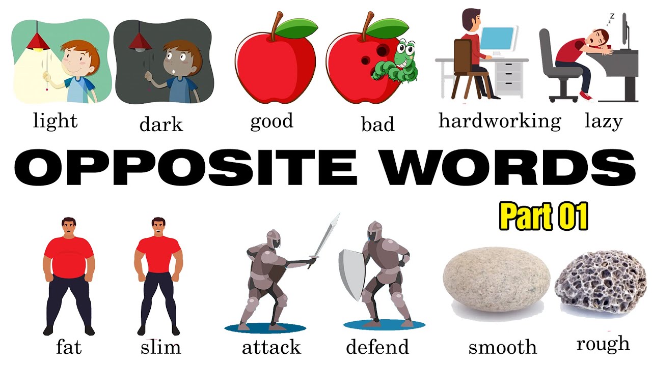 Opposite words (Antonyms) part 01 - Cặp từ trái nghĩa tiếng anh phần 01 |  opposite words in english