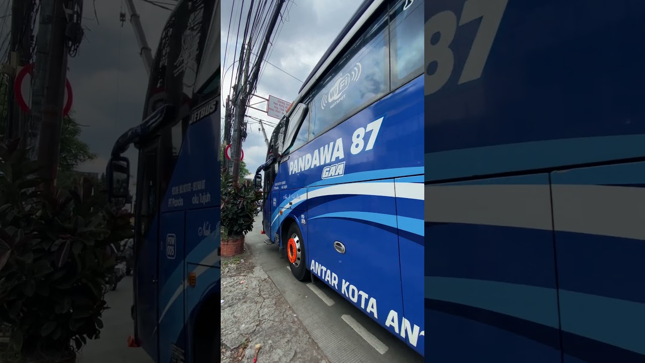 body panjang pandawa 87 jakarta banyuwangi 