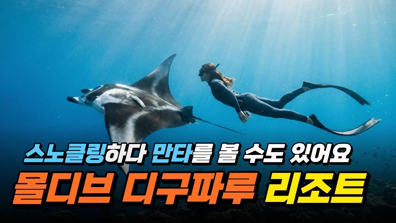 몰디브 신혼여행 리조트 추천｜만타를 볼 수 있는 디구파루 리조트