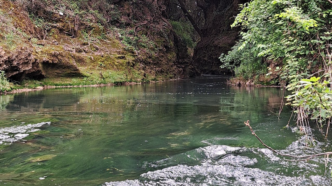 Peche de la truite dans des magnifiques gorges sauvage 