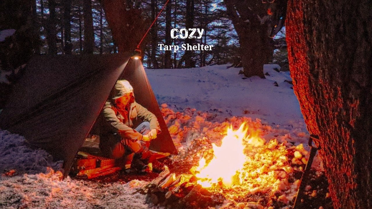 With ONLY A Tarp Shelter I Made a Cozy Solo Camping Bushcraft