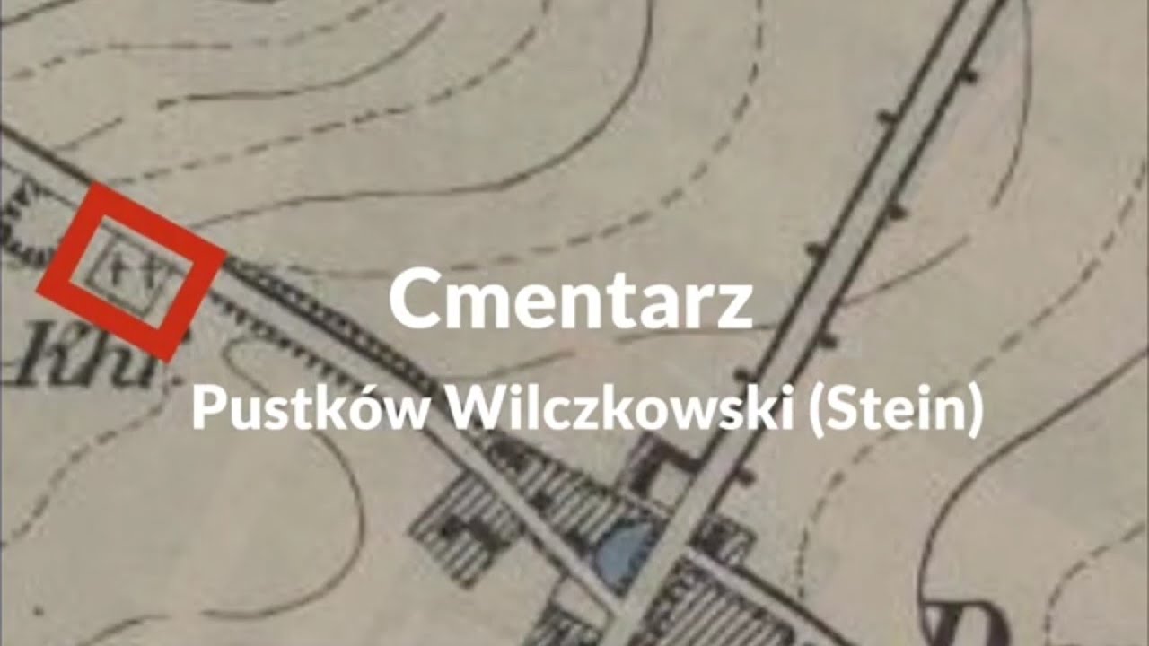 Cmentarz Pustk&oacute;w Wilczkowski (Stein)