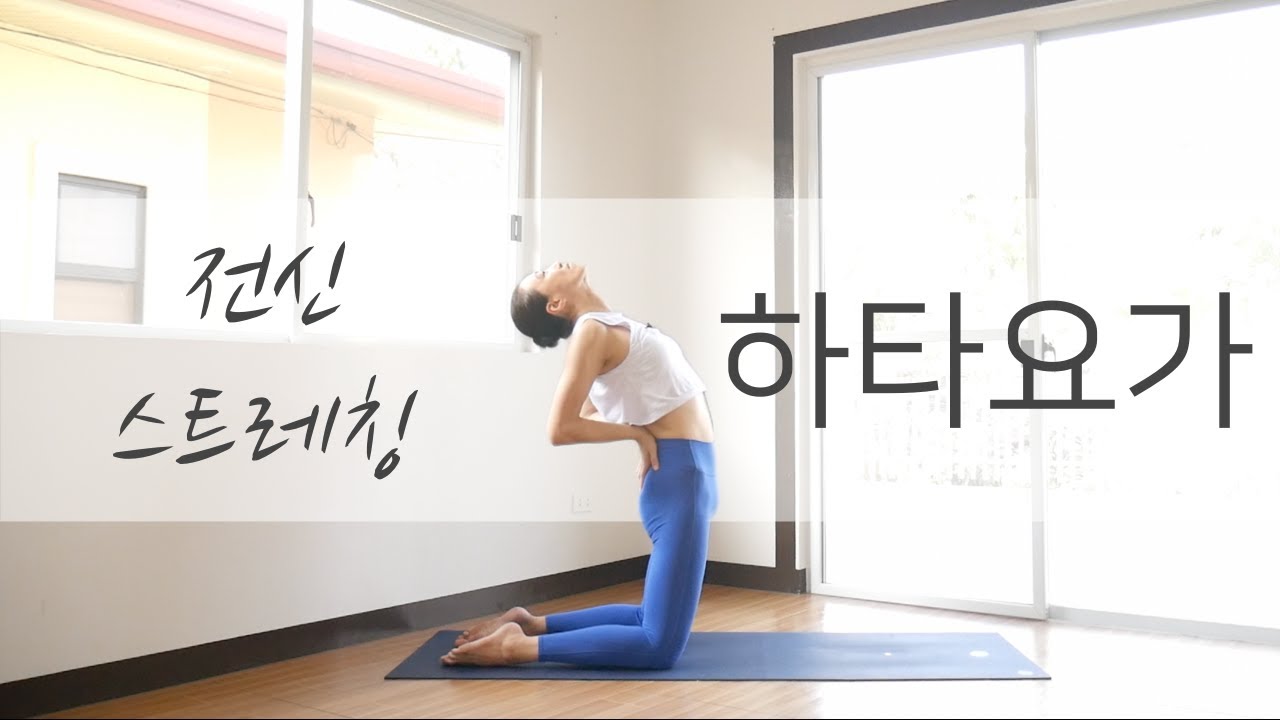 [EVA YOGA]전신 이완 하타요가
