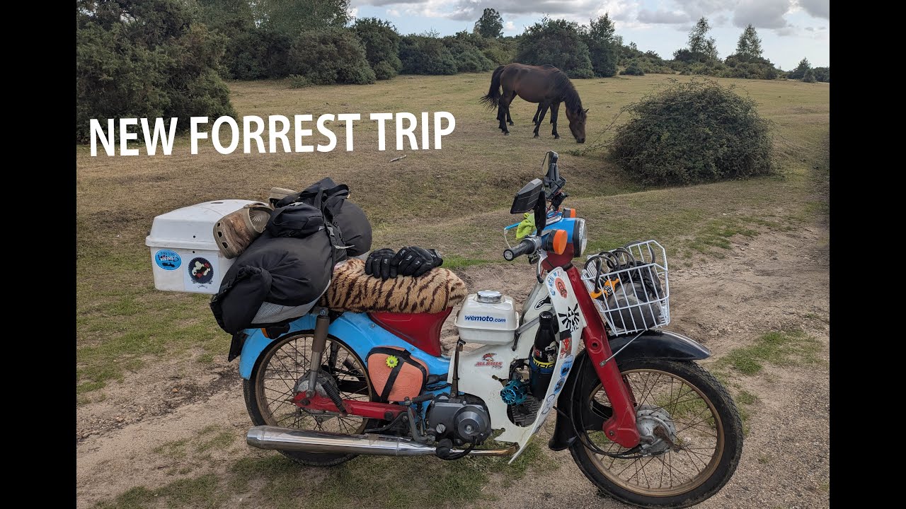 Honda Cub Camping weekend in New forrest