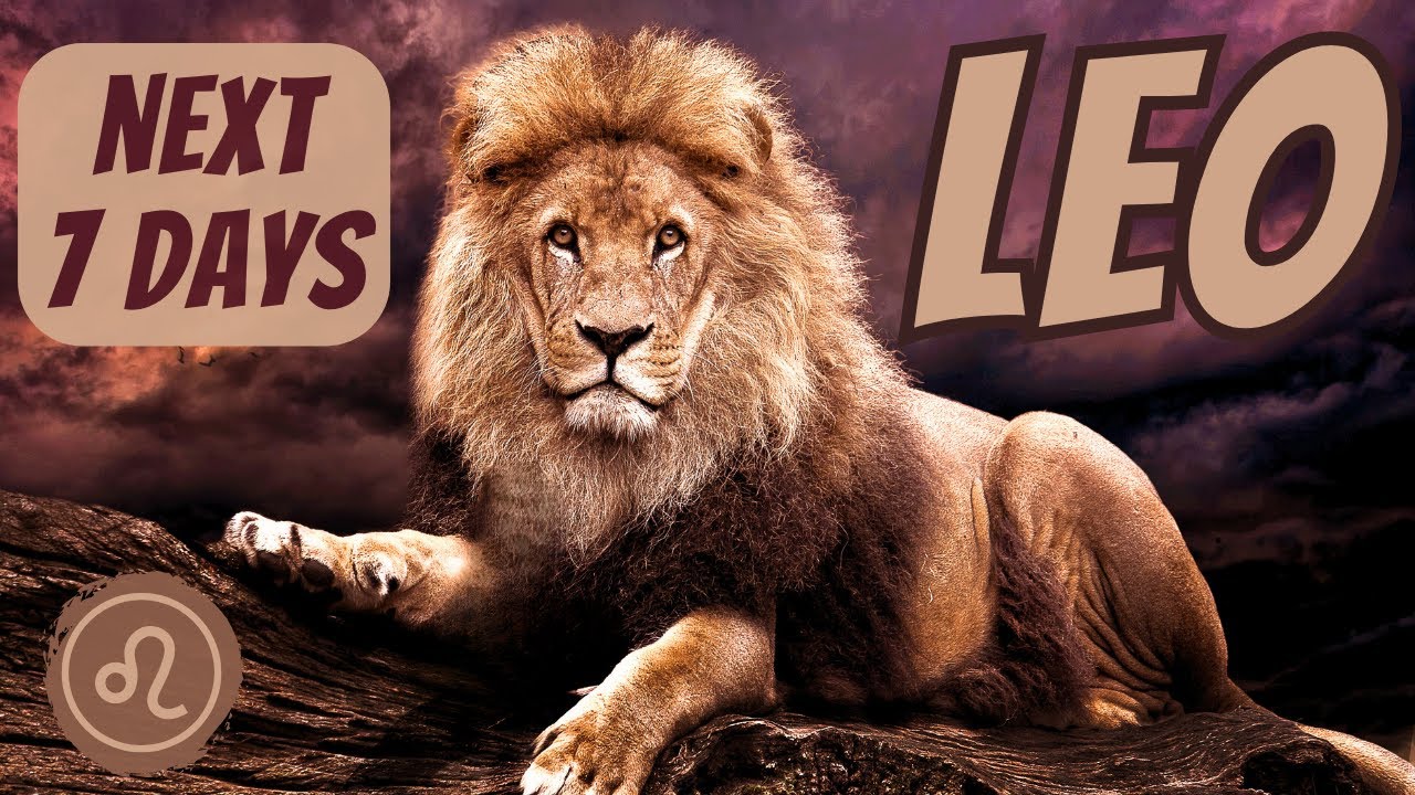 LEO♌️ DON'T OVERTHINK😣🥺 UNIVERSE IS DOING THE HEAVY LIFTING 2 BRING IN UR NEW LIFE😇☺️ NEXT 7 DAYS