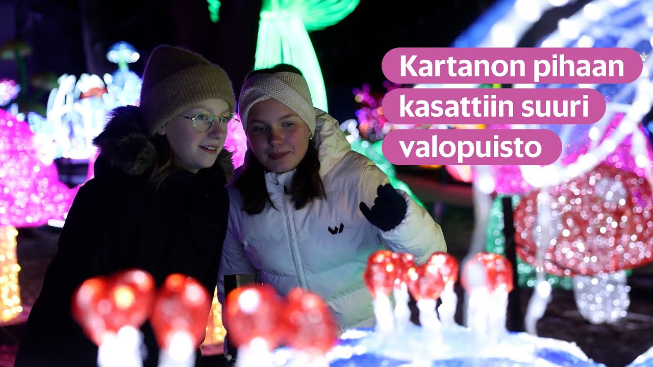Konteista purkautui valtava valopuisto