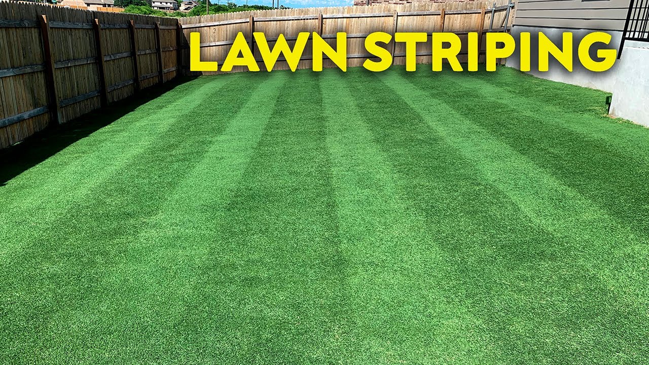 Lawn Striping | Laying Down Stripes in a Bermudagrass Lawn