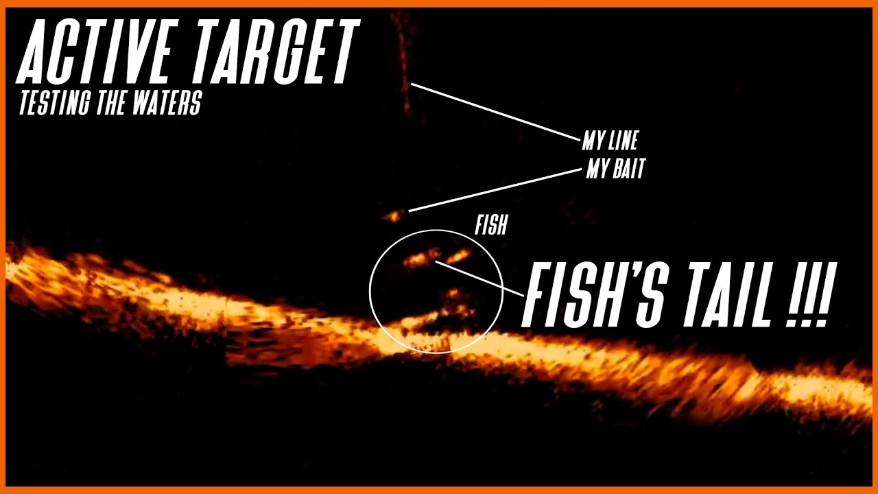 ЭТО...ЭТО МЕНЯЕТ ИГРУ... // Lowrance Active Target