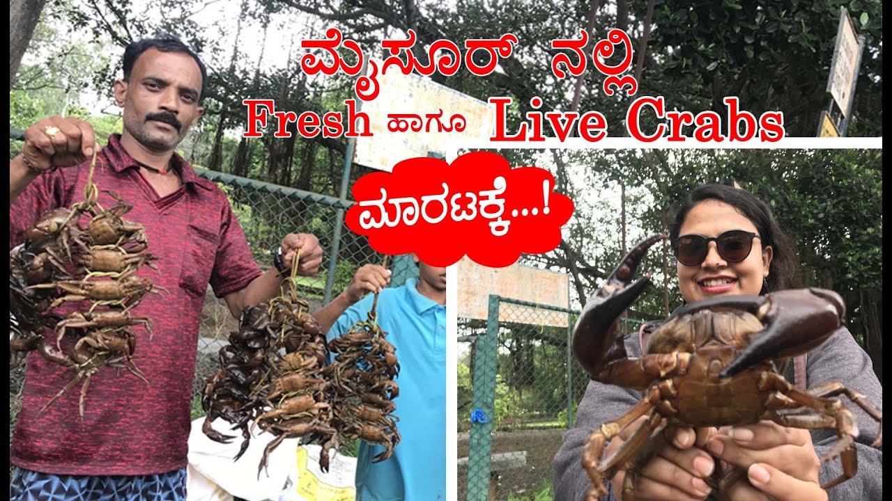 live crabs available at Mysore  healthy tasty seafood ಆರೋಗ್ಯವಂತ ಹೃದಯಕ್ಕೆ ಏಡಿ ತಿನ್ನಬೇಕು MCVJ KOUSALYA