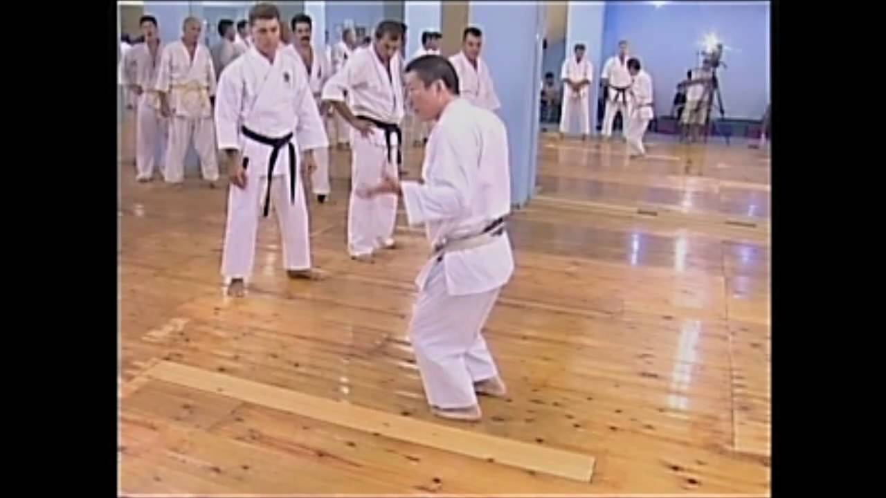 Y.katsumata sensei. The new way how to to transform the energy in oi-zuki swowing to sensei anthimos