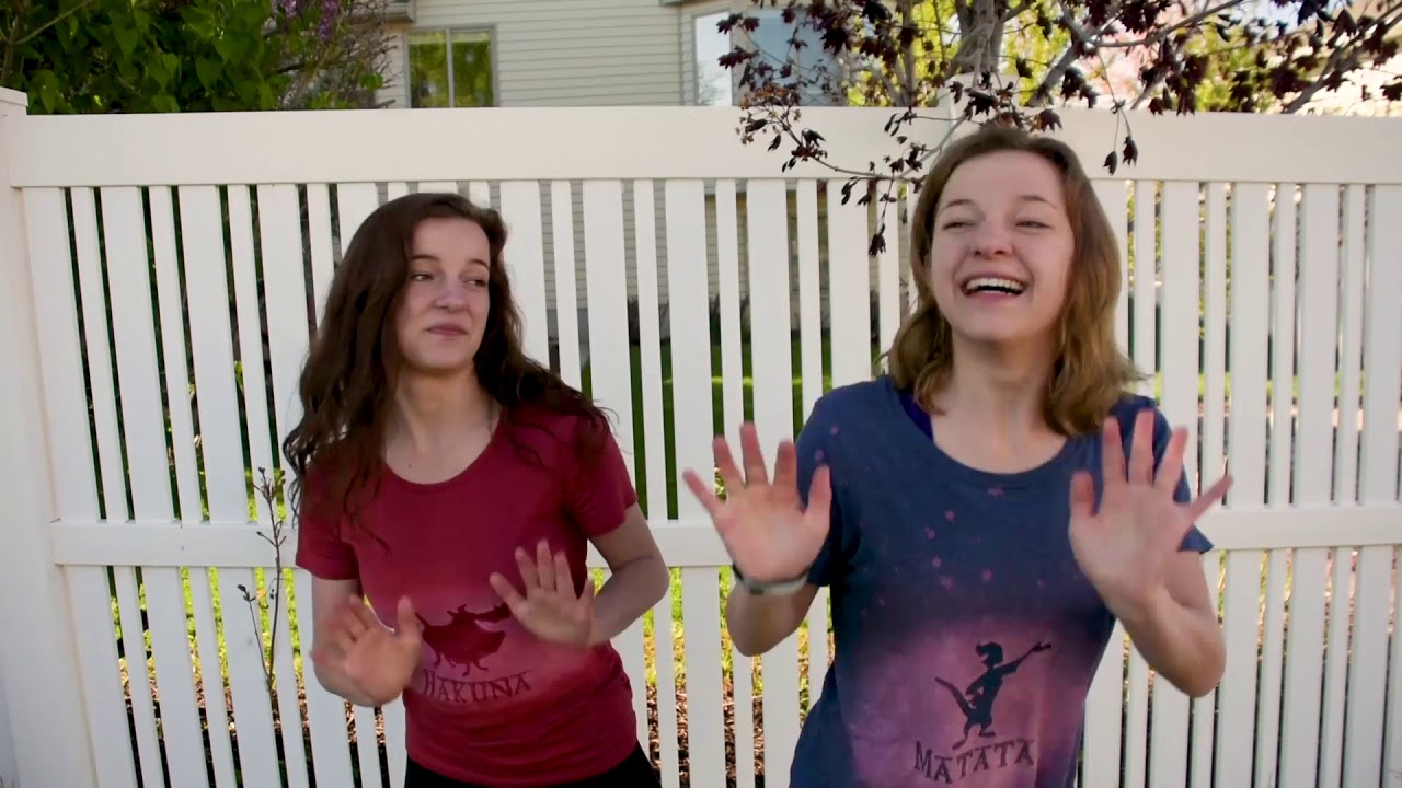 Hakuna Matata ASL music video