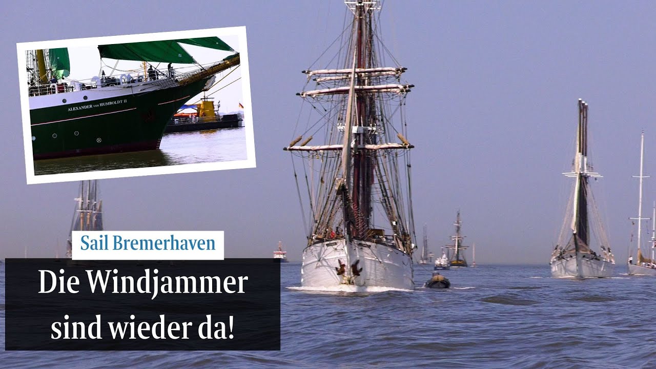 Sail Bremerhaven 2025: Das war die Einlaufparade zum Start | Große Windjammer auf der Weser