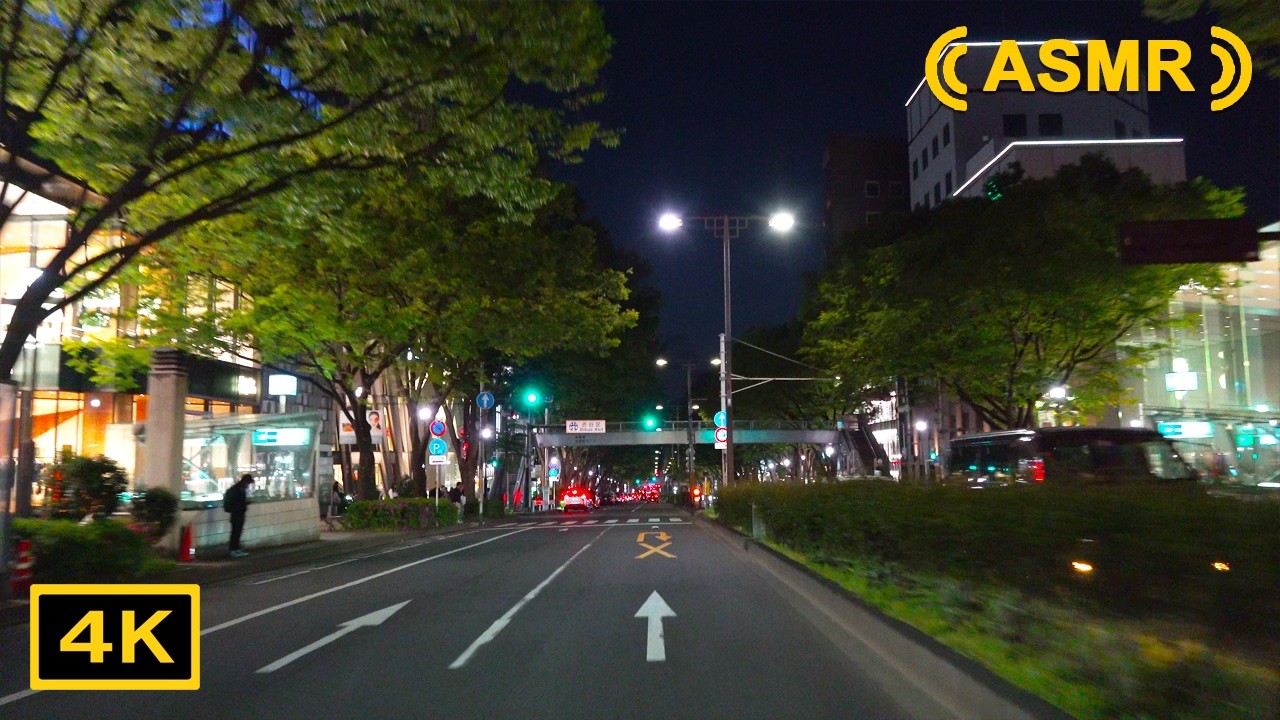 ASMR Tokyo Night View Drive 4K Цукидзи→Омотесандо→Харадзюку→Йойогиуэхара→Охара