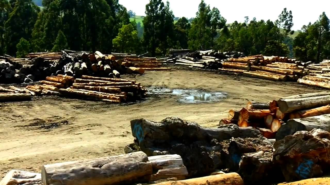 Going Bush Season 7 Episode 02 Island Specialty Timbers