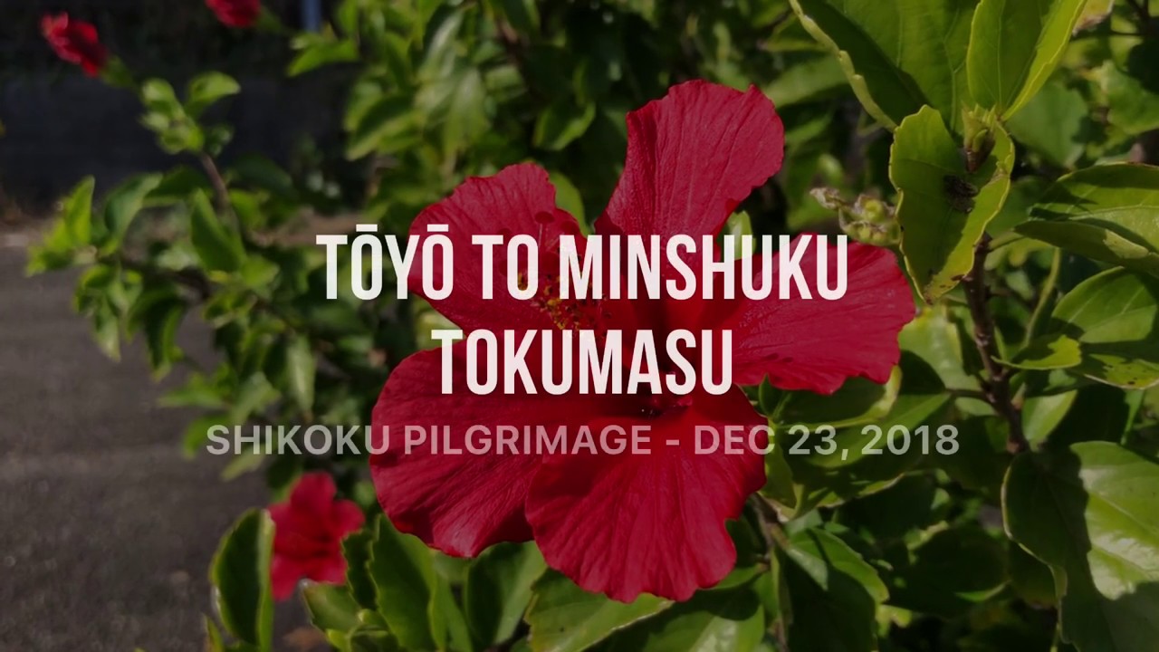 Shikoku 88 Temple Pilgrimage - Toyo to Minshuku Tokumasu (Episode 12)