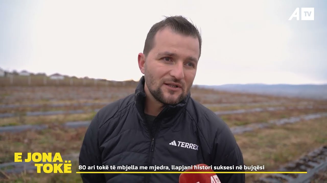 80 ari tokë të mbjella me mjedra, llapjani histori suksesi në bujqësi