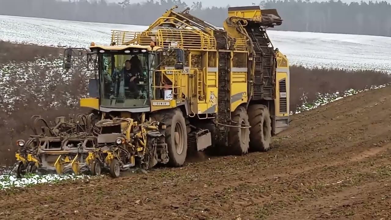 Zimowe Kopanie Buraków Cukrowych z firmą Ełwja Ropa Tiger 6 W Akcji
