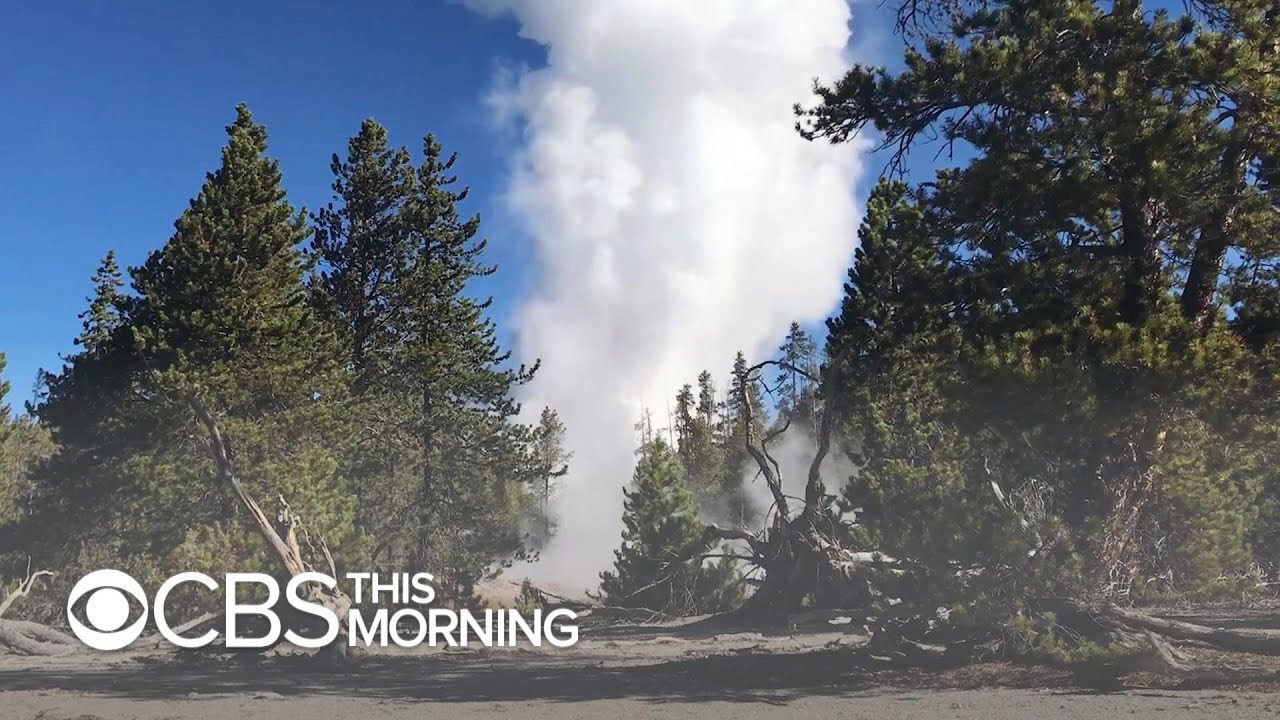 Long-dormant Yellowstone geyser spews decades-old trash