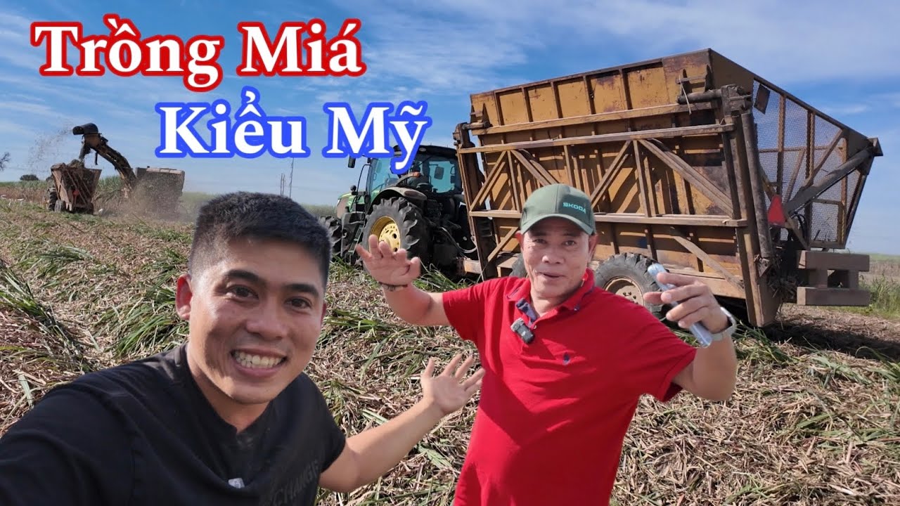 Hai Lúa Việt Đứng Hình Nhìn Hai Lúa Mỹ Làm Nông 
