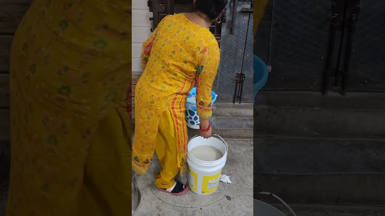 Monday se Tuesday  routine 