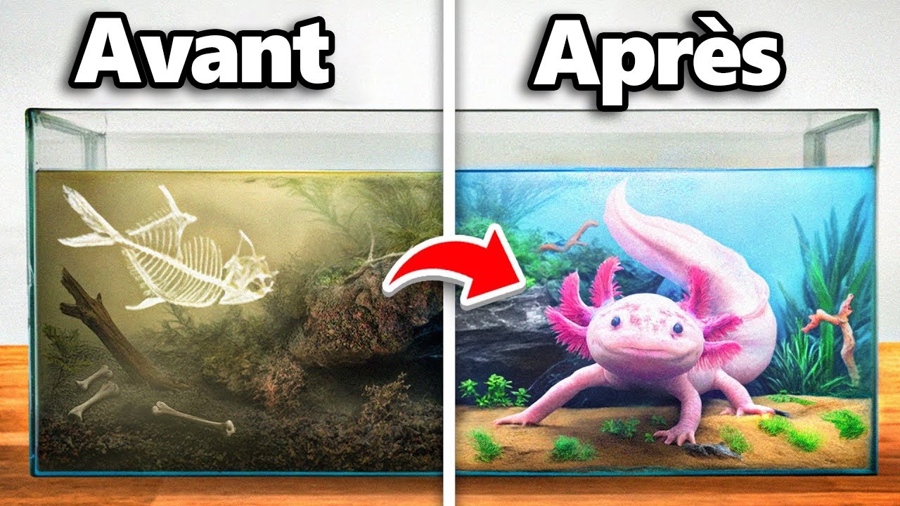 J’ai Transformé la Maison Abandonnée D’un Axolotl !