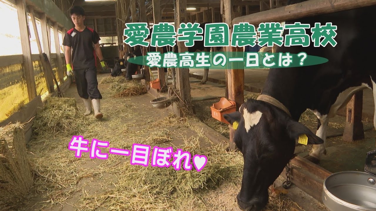 【ハイスクールパレット】愛農学園農業高等学校の１日を紹介！（1/4）
