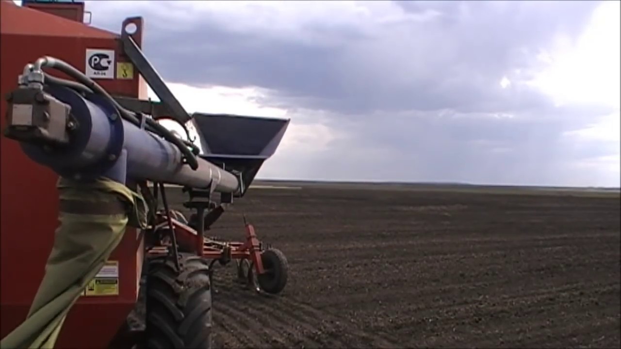 Кировец К 744р3 и посевной комплекс агромастер 11000, пятый посевной день, всё на той же 1000 га