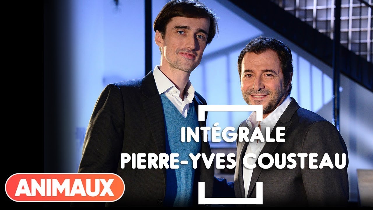Pierre-Yves Cousteau dans Animaux Stars (intégrale) - Animaux