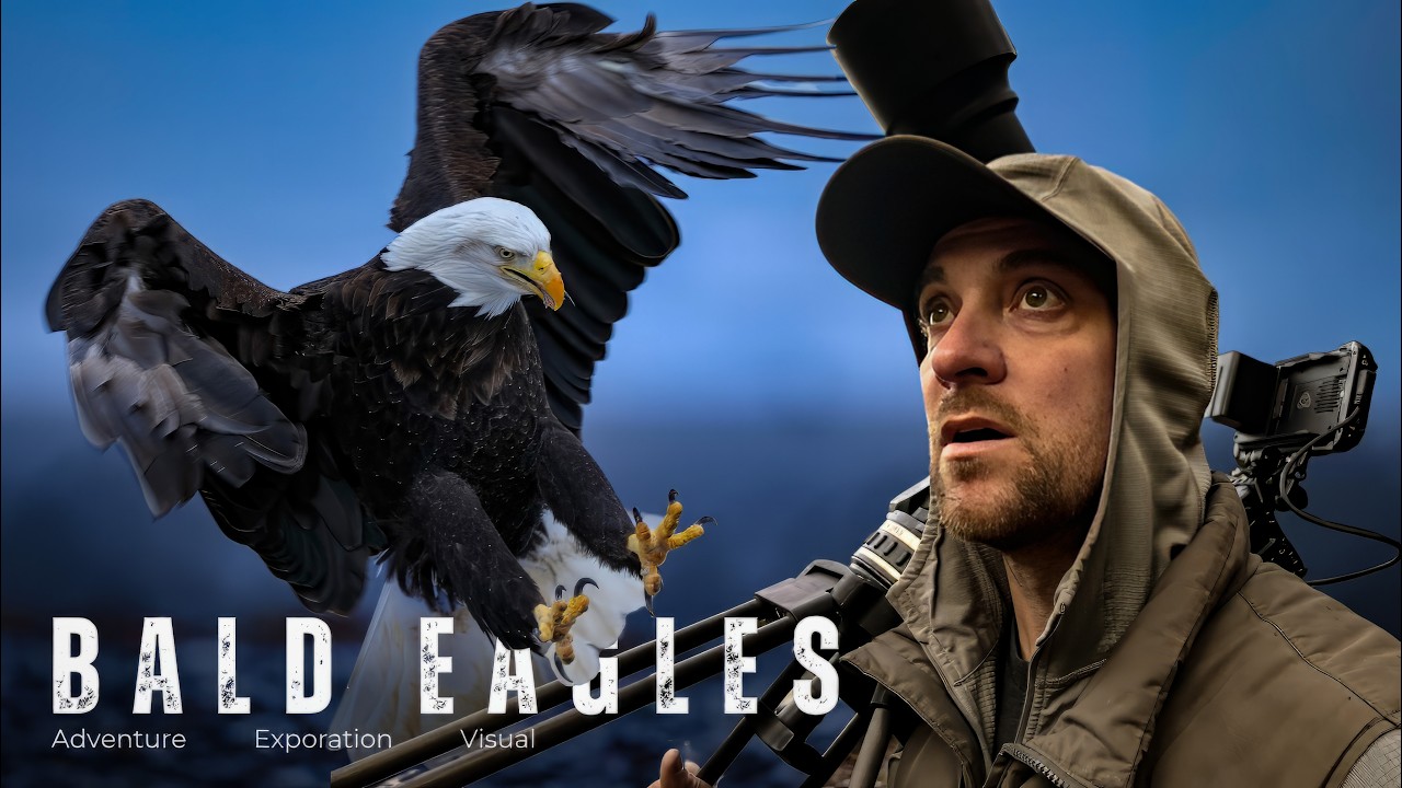 Съемки крупнейшего в мире собрания EAGLE