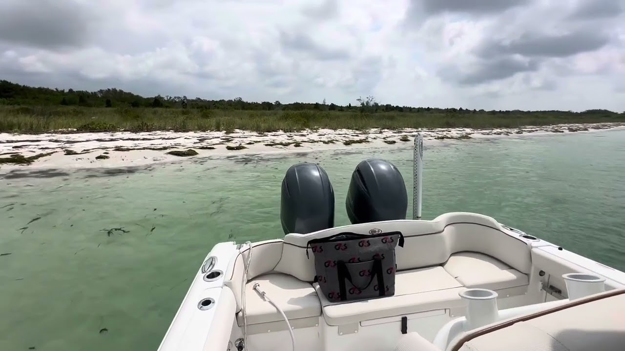 Anchoring using a windlass {Seahunt Ultra}