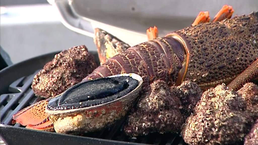 KAI ORA: On a boat in the Hauraki Gulf, Anne cooks a range of freshly caught seafood for her guests