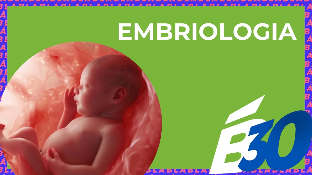EMBRIOLOGIA | Biologia em Meia Hora