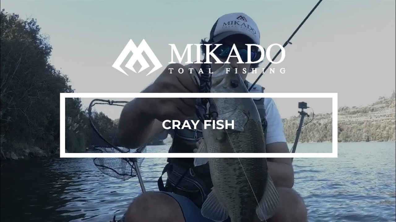 Bassy na Cray Fish