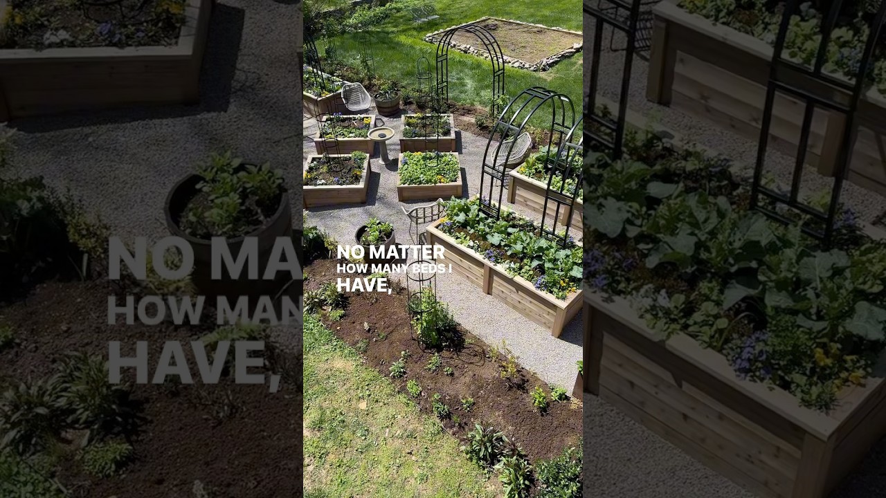 If I was starting a new garden, this is EXACTLY what I&rsquo;d do😉🌿#garden #plants #raisedbedgarden