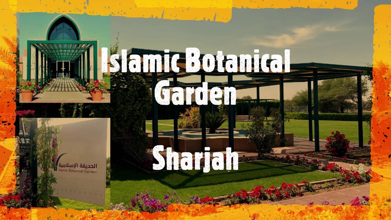 Islamic Botanical Garden in Sharjah Desert Park #UAE Exploring #6