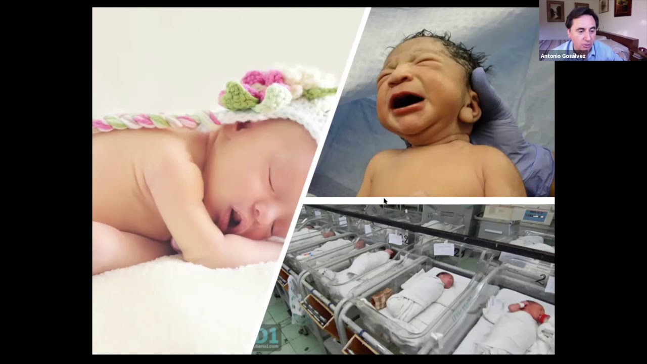 ¿Qué es ser madre? 1d4. Madres por donación de óvulos. Ovodonación.